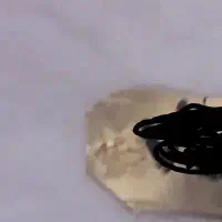 شمش