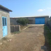 یک سوله ۲۲۰ متری و انبار ۱۰۰ متری اجاره داده میشود|اجارهٔ دفتر صنعتی، کشاورزی، تجاری|آق قلا, |دیوار