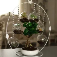 هفت سین حلقه ای حباب دار