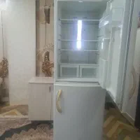 یخچال فریزر الکتر استیل درحدنو