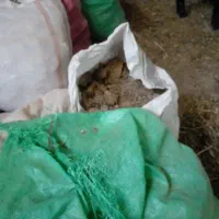 کود گوسفندی|لوازم جانبی حیوانات|اصفهان, اندوان|دیوار