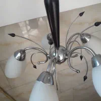 یک جفت لوستر پذیرایی