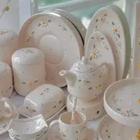 ظروف سرامیکی