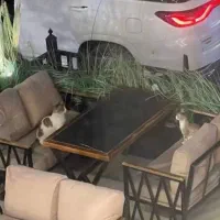 استخدام