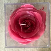 باکس شمع رز جاودان ولنتاین|صنایع دستی و سایر لوازم تزئینی|تهران, سردارجنگل|دیوار