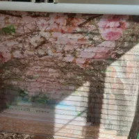 پرده زبرا درحد