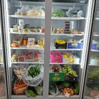 یخچال دو درب مشهد سرما