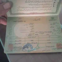 کیف جا لباسی|اشیا|ازنا, |دیوار