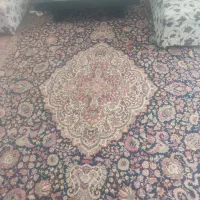 فرش و موکت|فرش|گلبهار, شهر جدید گلبهار|دیوار