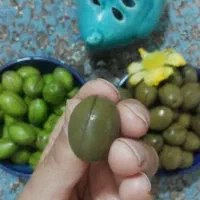 زیتون درجه یک رودبار گیلان