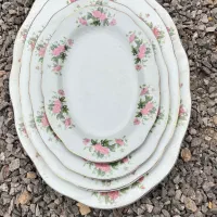 ظروف گل سرخی چین نو قدیمی