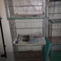 فروش۵قفس پرنده بزرگ1قفس عروس طوطی ولونه عروس هلند