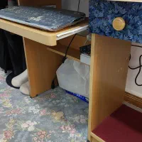 مانیتورLG،کیبورد،موس،باند|قطعات و لوازم جانبی رایانه|کرج, المهدی|دیوار