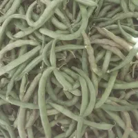 لوبیا سبز خورشتی