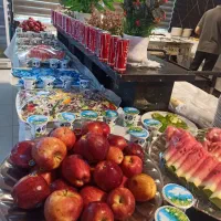 کربلا لحظه آخری برگشت قطار فدک خدمات الف|تور و چارتر|مشهد, گلبرگ|دیوار