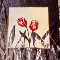 پتوی مخمل کره ای