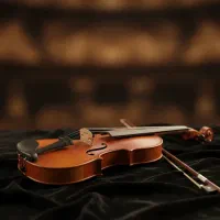 تدریس ویولن کلاسیک