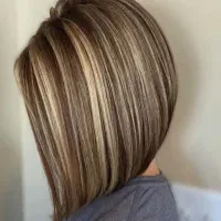 مدل رایگان مش  برای البوم کاری