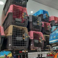 تجهیزات سگ وگربه|لوازم جانبی حیوانات|برازجان, |دیوار