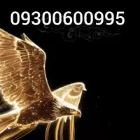 09300600995