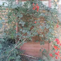 دو عدد در آهنی سنگین سالم بدون زنگ زدگی