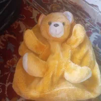 کیف عروسکی بچه.چغادک|اسباب و اثاث بچه|بوشهر, |دیوار