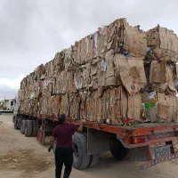 هم-خونه