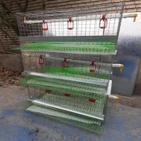 انواع قفس مرغ و بلدرچین|حراج|رامسر, |دیوار