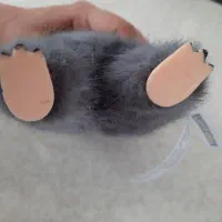 لبوبو|اسباببازی|بومهن, |دیوار