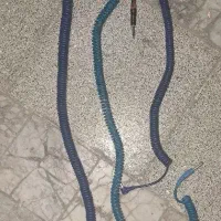 کابل رابط فنری ارگ