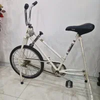 دوچرخه ثابت