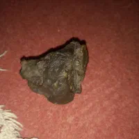 شهاب سنگ|کلکسیون و سرگرمی|اصفهان, کوی گلزار|دیوار