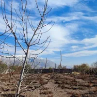 باغ شهری سیدان