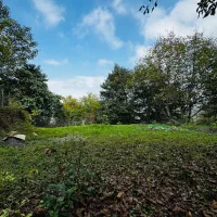 430متر زمین مسکونی با مجوز ساخت دو طبقه|فروش زمین و ملک کلنگی|توتکابن, |دیوار