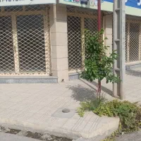 اجاره مغازه ۲۳۰ متری
