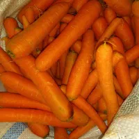 تمام وسایل ترشی به قیمت سرزمین|خوردنی و آشامیدنی|تاکستان, |دیوار