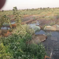 فروش اب وزمین کشاورزی ۴۸۰۰۰متر ۱۲ ساعت اب|فروش دفتر صنعتی، کشاورزی، تجاری|کاشان, کارخانه سایپا کاشان|دیوار