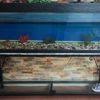 آکواریوم با لوازم