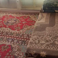 اجاره واحد بالای پارکینگ دانشجویی