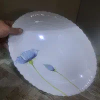 ارکوپال|ظروف سرو و پذیرایی|شاهین‌شهر, عطار|دیوار