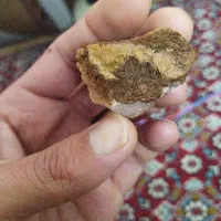 سنگ|کلکسیون و سرگرمی|درمیان, |دیوار