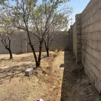 ویلا باغ ۴۲۰ متر کارکرد گل مینا گلدشت قلعه سفید|فروش خانه و ویلا|اصفهان, باغ فدک|دیوار