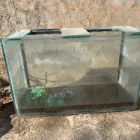 آکواریوم ماهی بزرگ ۴۰*۱
