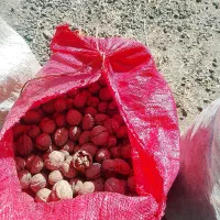 گردو خوب و روغنی  اونار واجه عمده وخورده|خوردنی و آشامیدنی|مشگین شهر, |دیوار