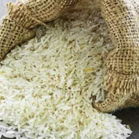 برنج هاشمی گیلان