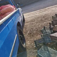 زامیاد بنزینی مدل ۹۷ موتور. پلمپ بدون رنگ|خودرو سواری و وانت|کرمان, |دیوار