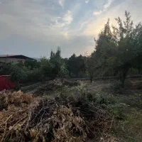 فروش زمین مسکونی 275 متر در بابلکنار|فروش زمین و ملک کلنگی|مرزیکلا, |دیوار