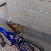 دوچرخه ۲۰ المپیک