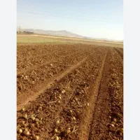 زمین-کشاورزی