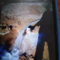 چاه کن مقنی استا محمد  شیخی زاده  (   ترکمن    )|خدمات پیشه و مهارت|بجنورد, |دیوار